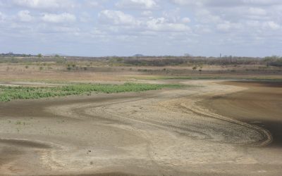 Área sem seca relativa no Ceará volta a crescer em fevereiro, mas situação dos açudes ainda é crítica
