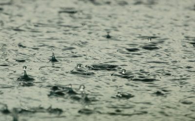 Prognóstico da Funceme prevê chuvas 50% abaixo da média entre fevereiro e abril